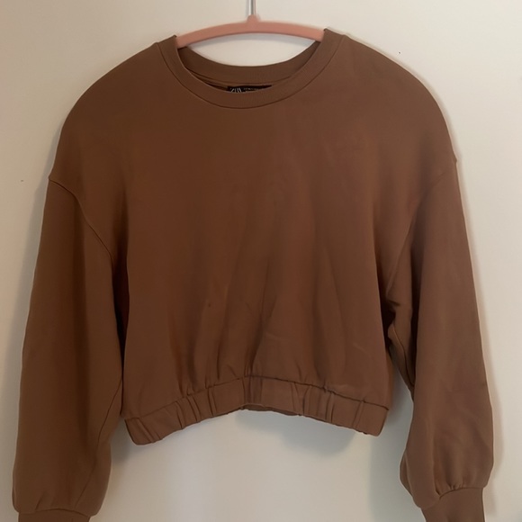 Zara cropped sweatshirt in brown - Picture 4 of 4